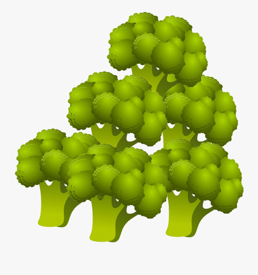 Broccoli Clipart - Tree, Transparent Clipart