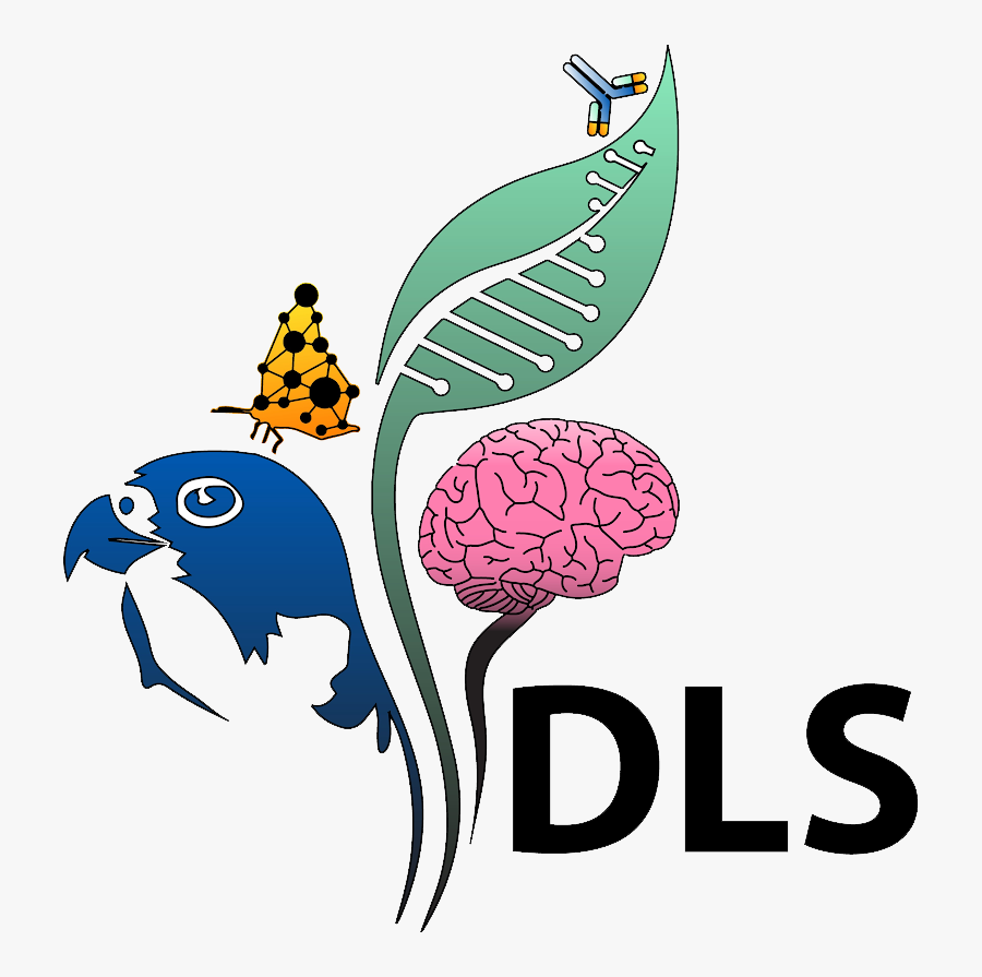 Illustration, Transparent Clipart