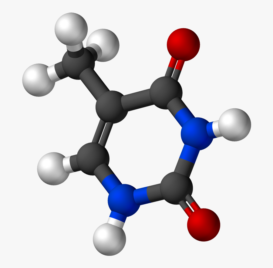 Adenine Ball And Stick, Transparent Clipart