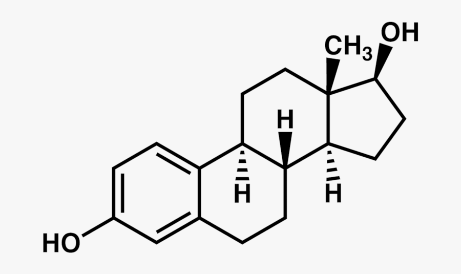 4 Reasons To Take Calcium D Glucarate - Estrogen Png, Transparent Clipart