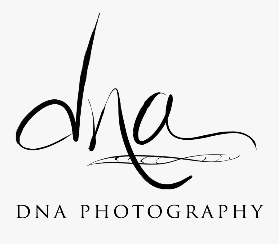 Dna Strand White Transparent - Calligraphy, Transparent Clipart