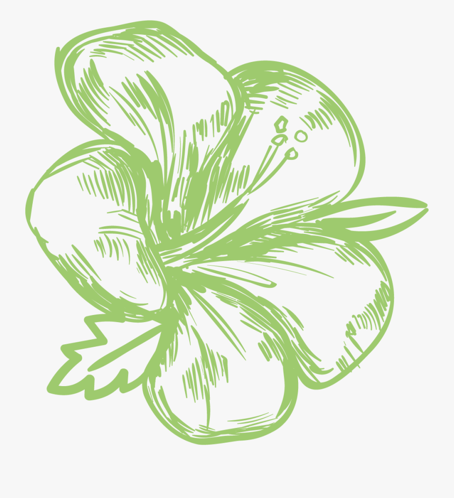 Illustration, Transparent Clipart