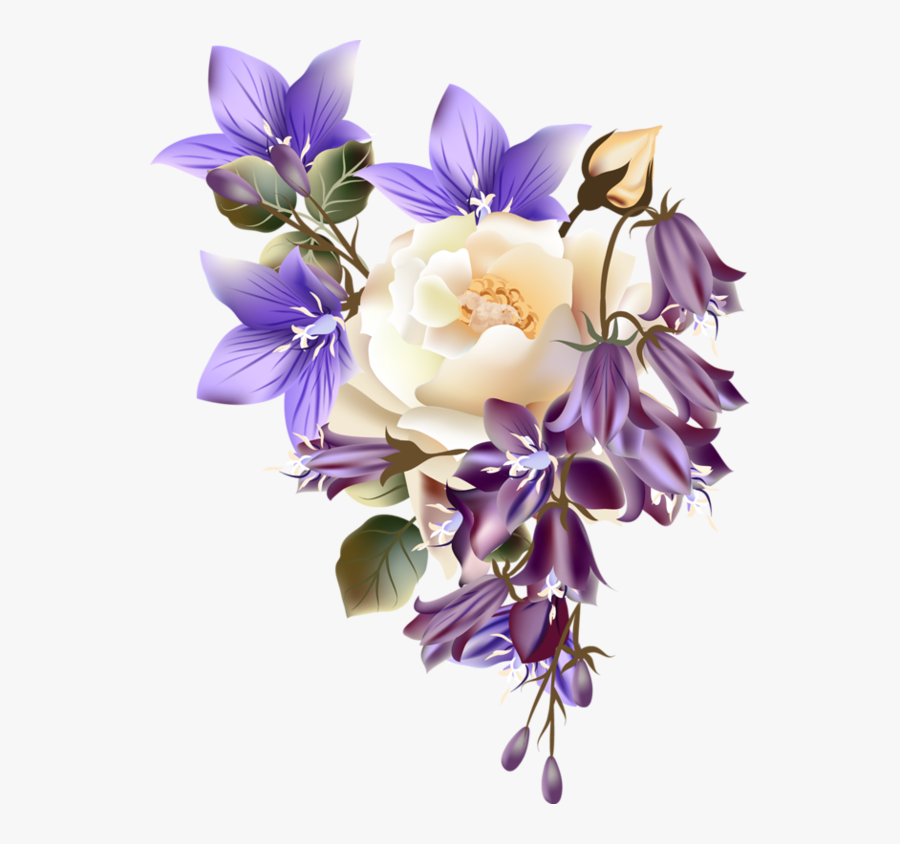 Portable Network Graphics, Transparent Clipart