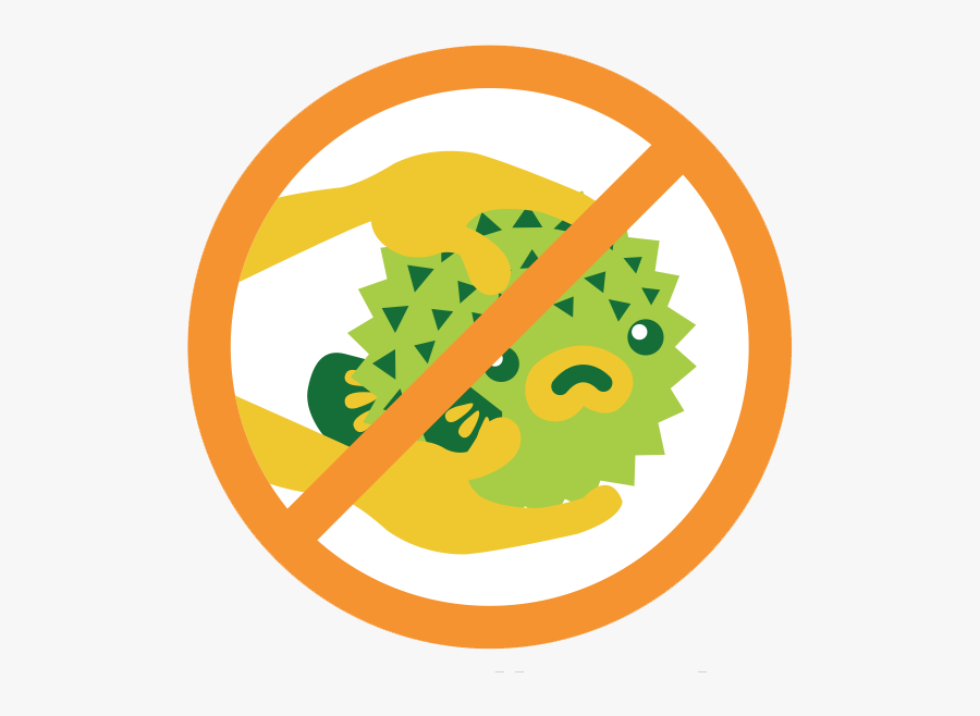 Transparent Sense Of Touch Clipart - Coral, Transparent Clipart