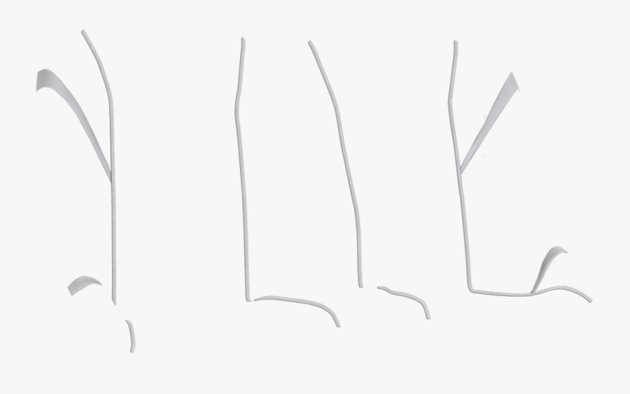 Sketch, Transparent Clipart