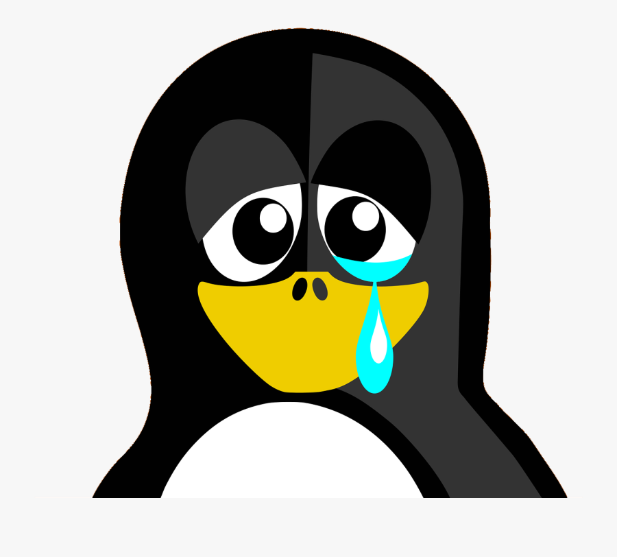 To Win An Argument, You Need To Be Prepared And Have - Sad Linux Penguin, Transparent Clipart