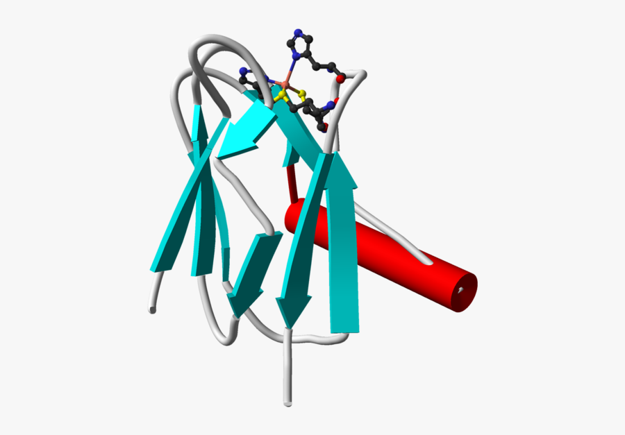 Plastocyanin, Transparent Clipart