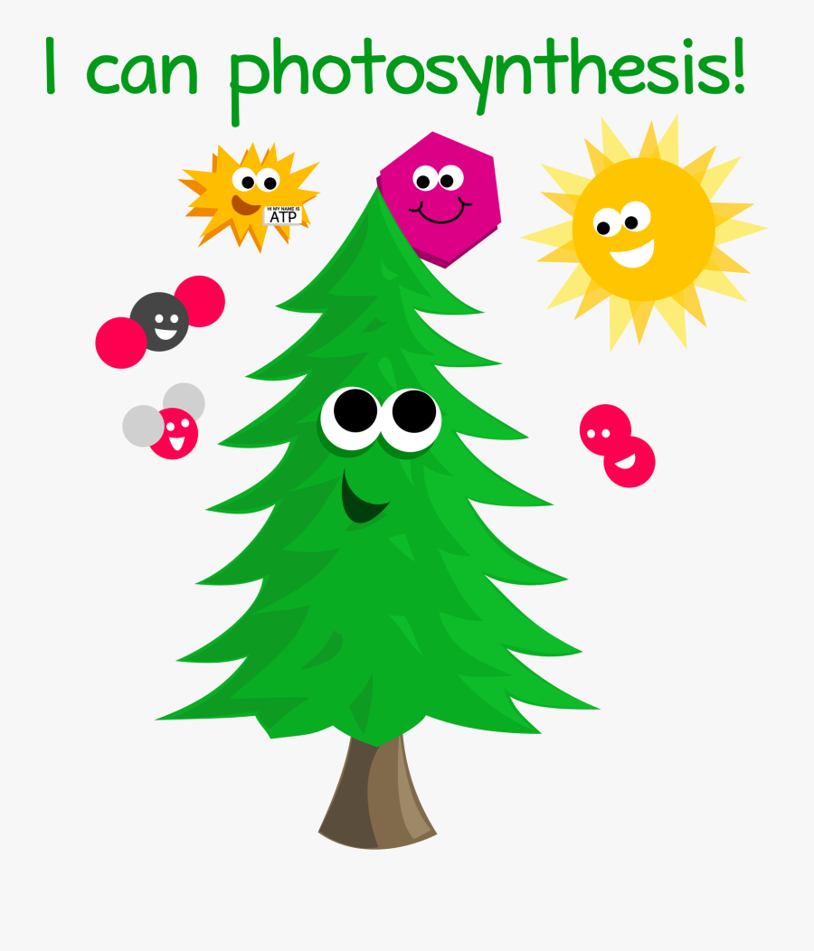 Can Photosynthesis, Transparent Clipart