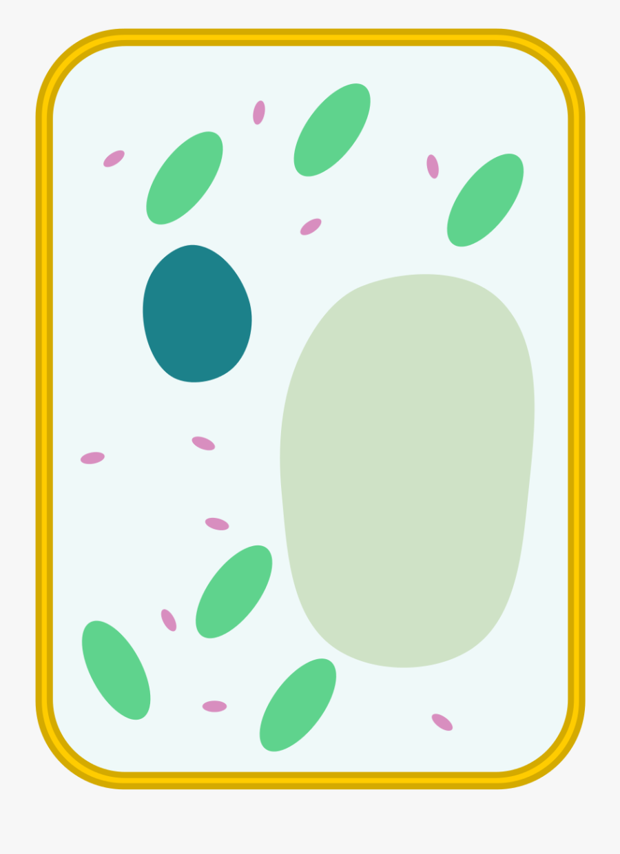 Simple Cell Diagram - Blank Simple Plant Cell Diagram, Transparent Clipart