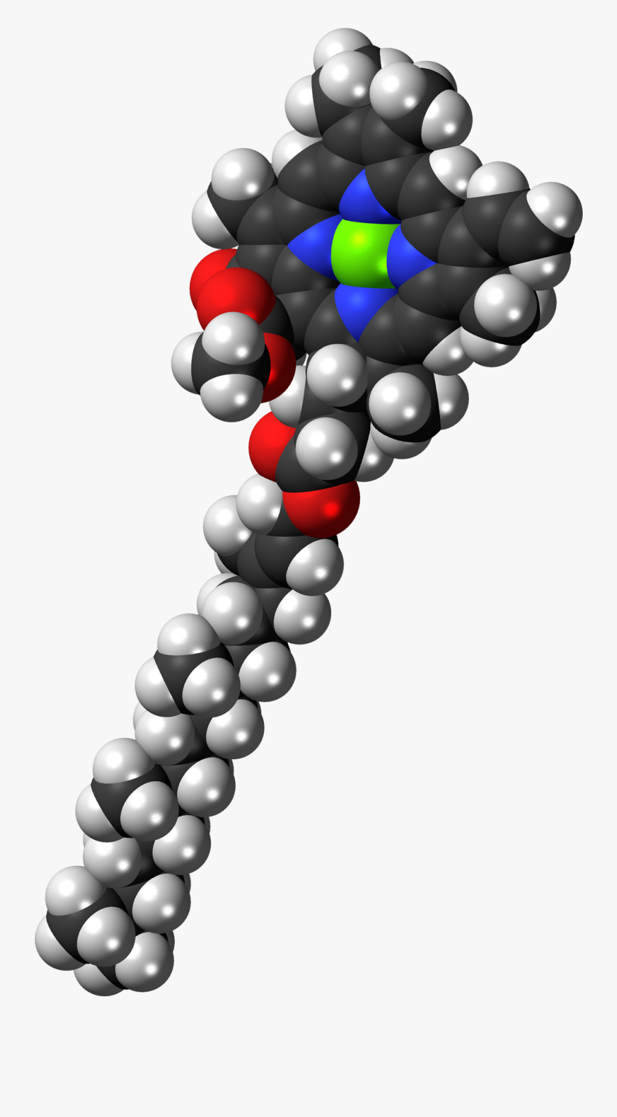 Chlorophyll A 3d Spacefill - 3d Structure Of Chlorophyll, Transparent Clipart
