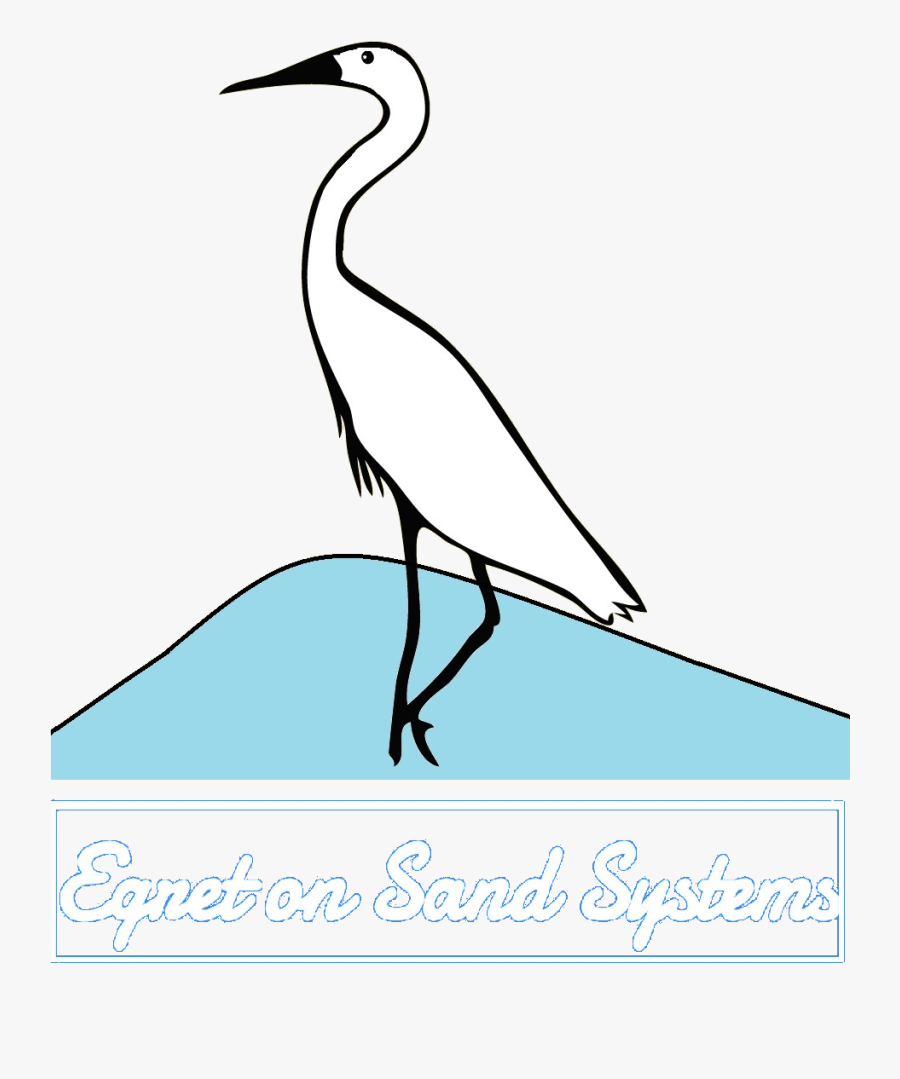 Seabird, Transparent Clipart