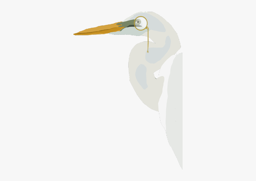 Egret Birds Fancy Freetoedit - Illustration, Transparent Clipart