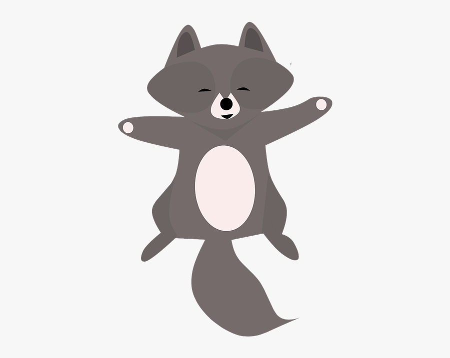 Animales Mapache Png, Transparent Clipart