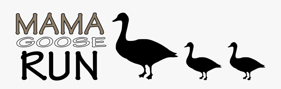 Duck, Transparent Clipart