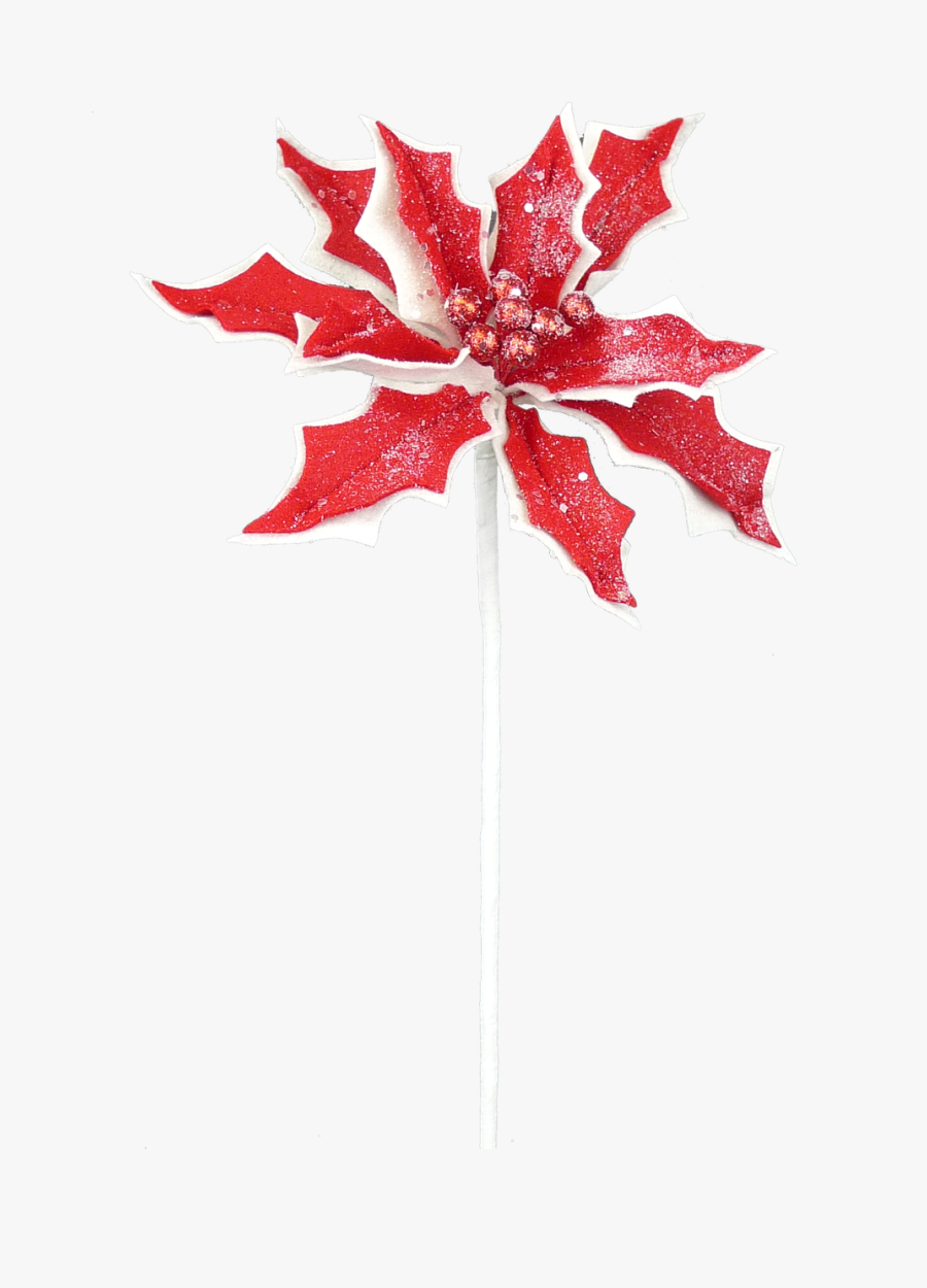 24 - Maple Leaf, Transparent Clipart