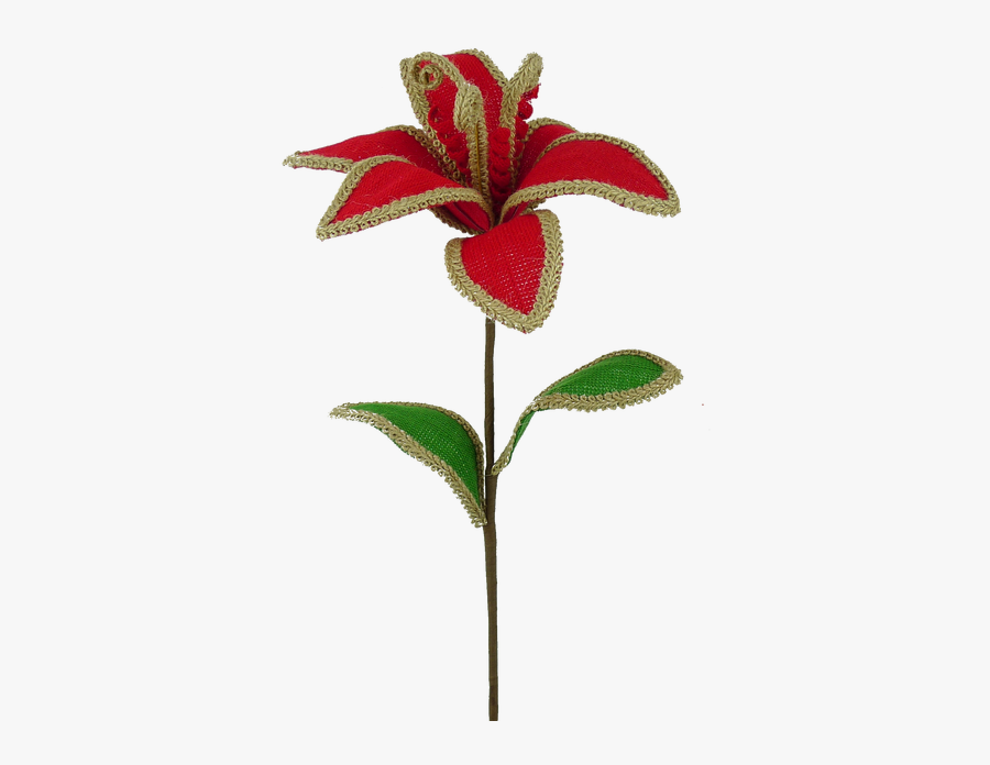 Rosa Glauca, Transparent Clipart