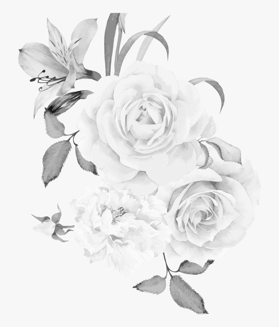 Free Rose Watercolor Vector, Transparent Clipart