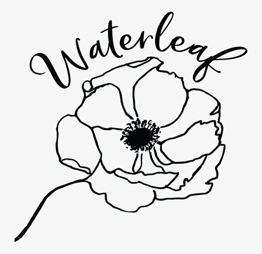 Sunflower, Transparent Clipart