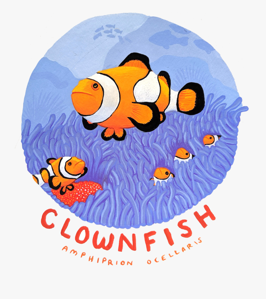 Clip Art, Transparent Clipart