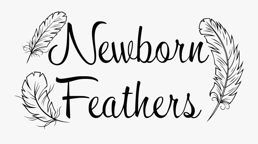 Newborn Feathers Logo, Transparent Clipart