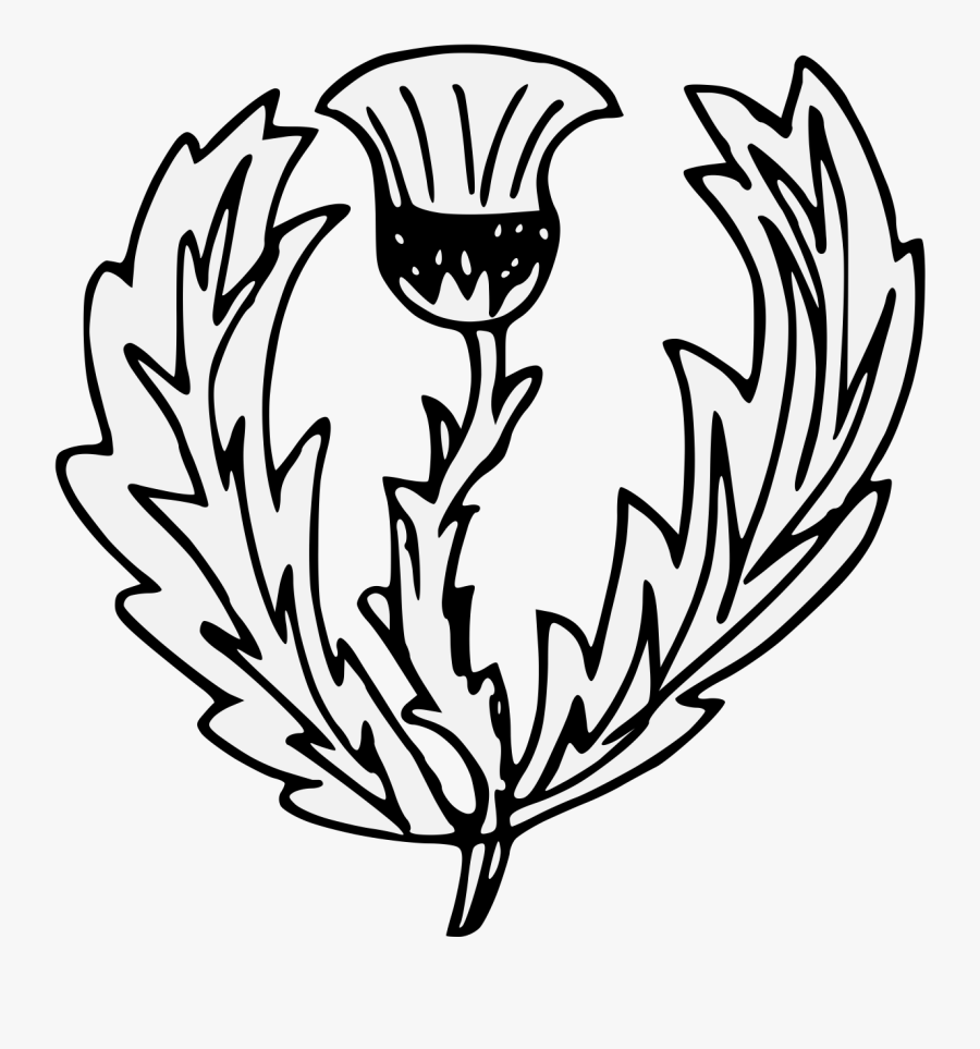 White Thistle Silhouette Clip Art, Transparent Clipart