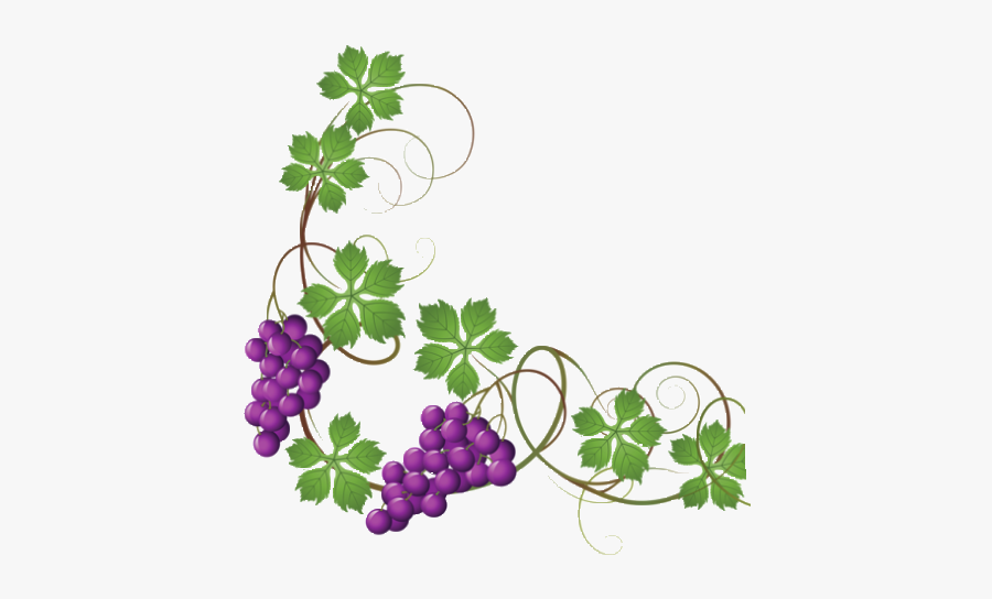 #grapevine - Grape Vines Transparent Background, Transparent Clipart