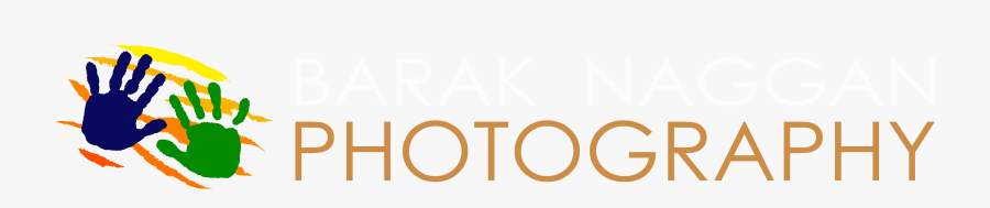 Circle, Transparent Clipart