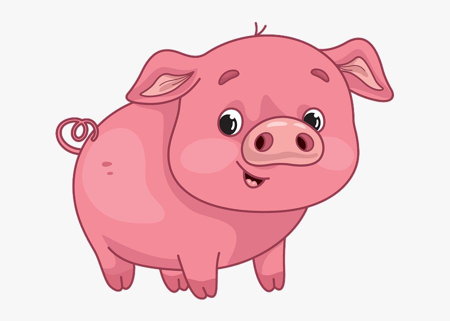 Domestic Pig, Transparent Clipart