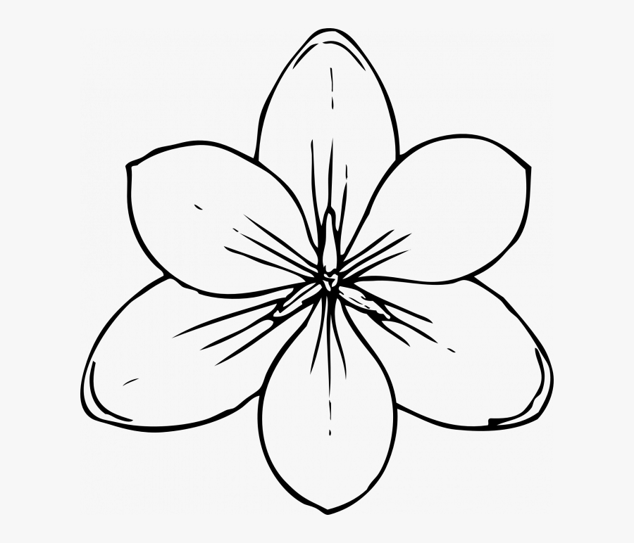 Easy Orange Blossom Drawing, Transparent Clipart