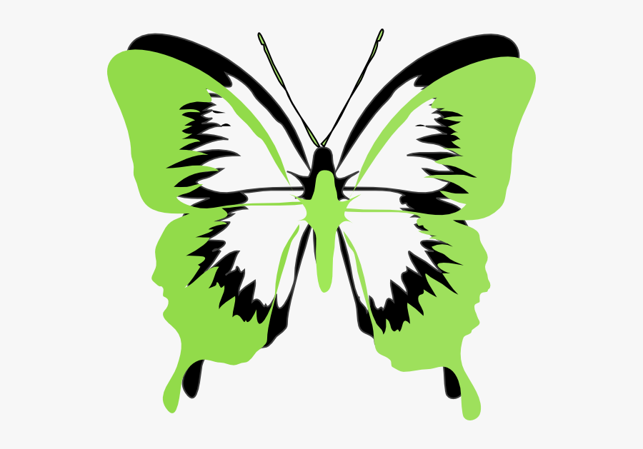 Avm Awareness Month 2019, Transparent Clipart