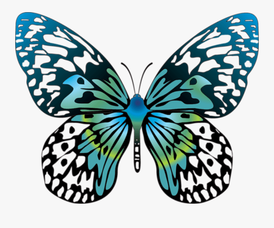 Cartoon Pictures Of Butterflies - Transparent Butterfly Cartoon, Transparent Clipart