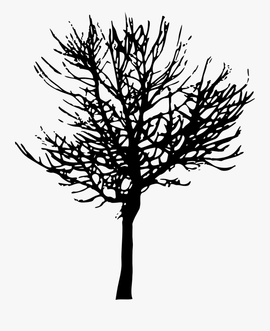 Tree Branch Desktop Wallpaper Clip Art - Transparent Background Tree Silhouette Png, Transparent Clipart