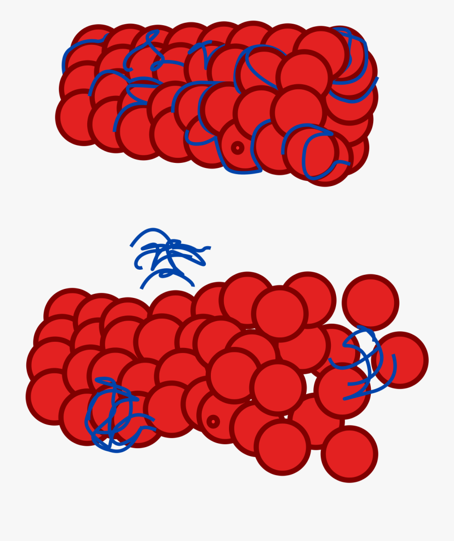 Proteina Tau Png, Transparent Clipart