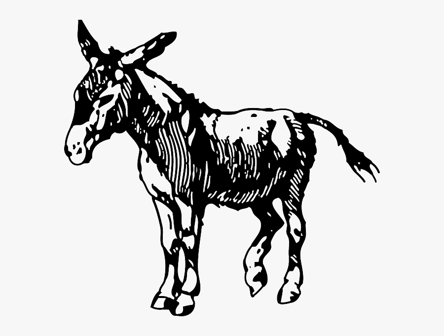 Donkey Clip Art Black And White, Transparent Clipart