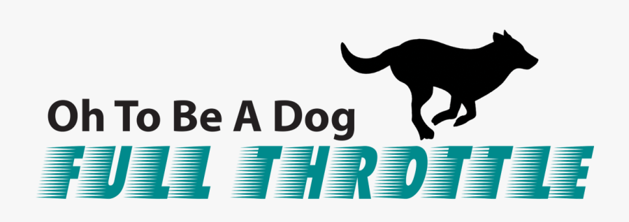 Picture - Knock Sign, Transparent Clipart