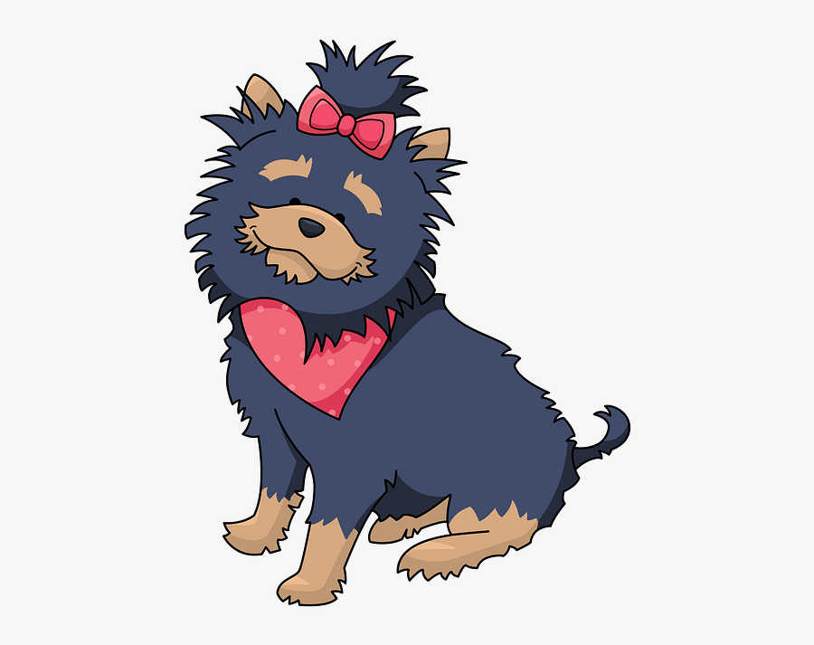 Yorkshire Terrier, Transparent Clipart