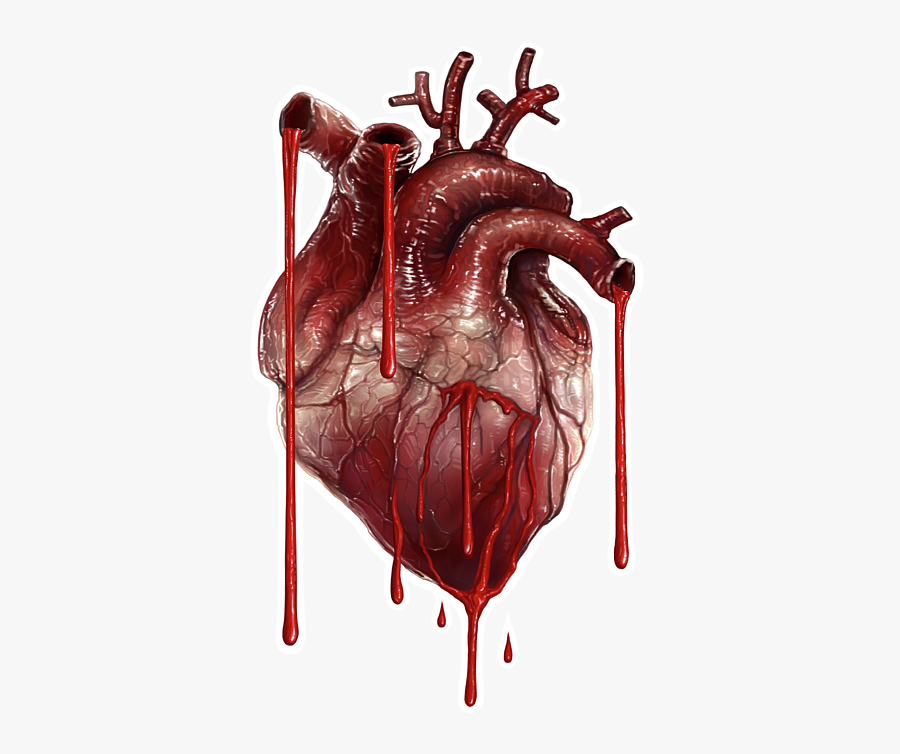 Human Heart Png Transparent, Transparent Clipart