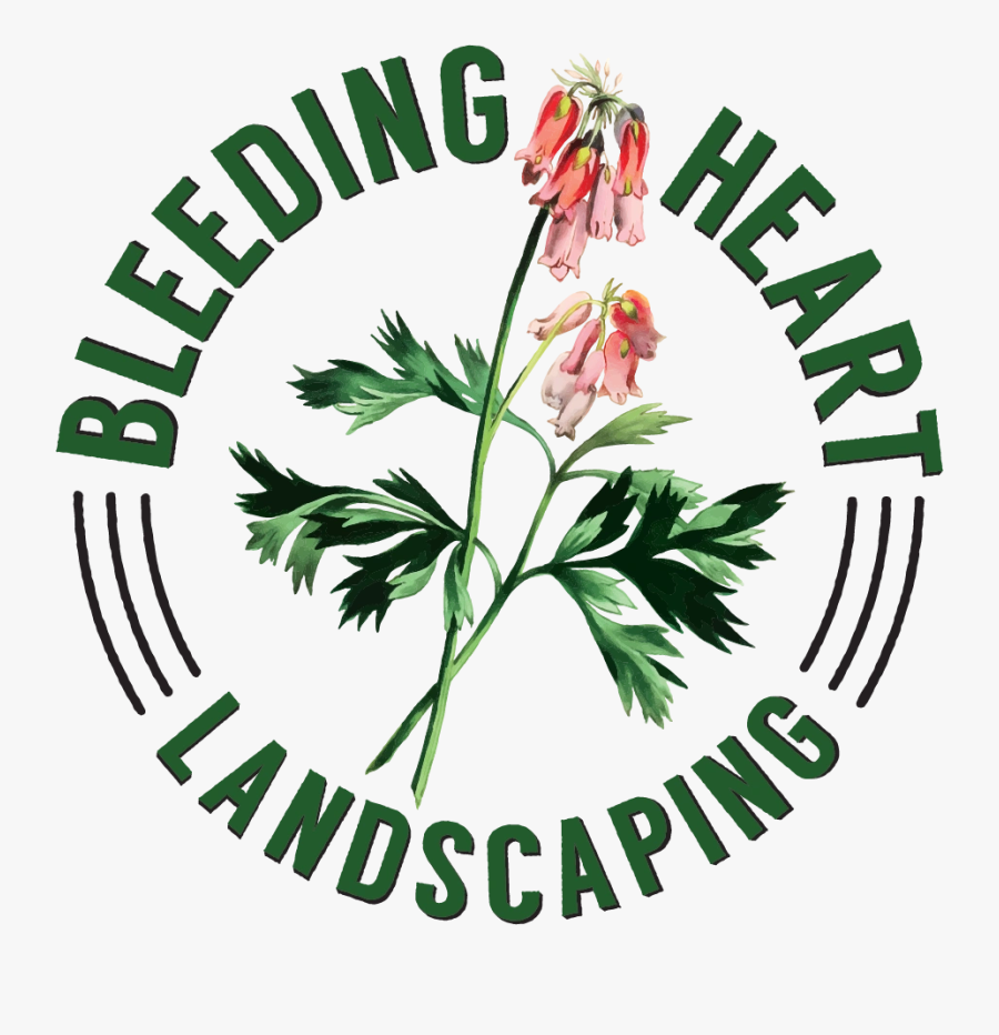 Image16 - Illustration, Transparent Clipart