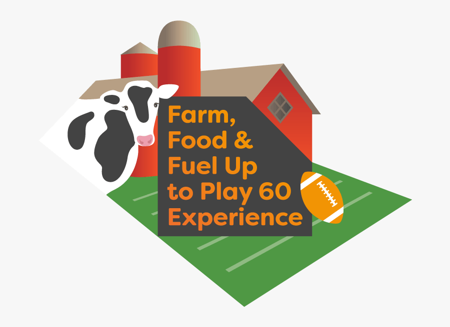 Graphic Design, Transparent Clipart