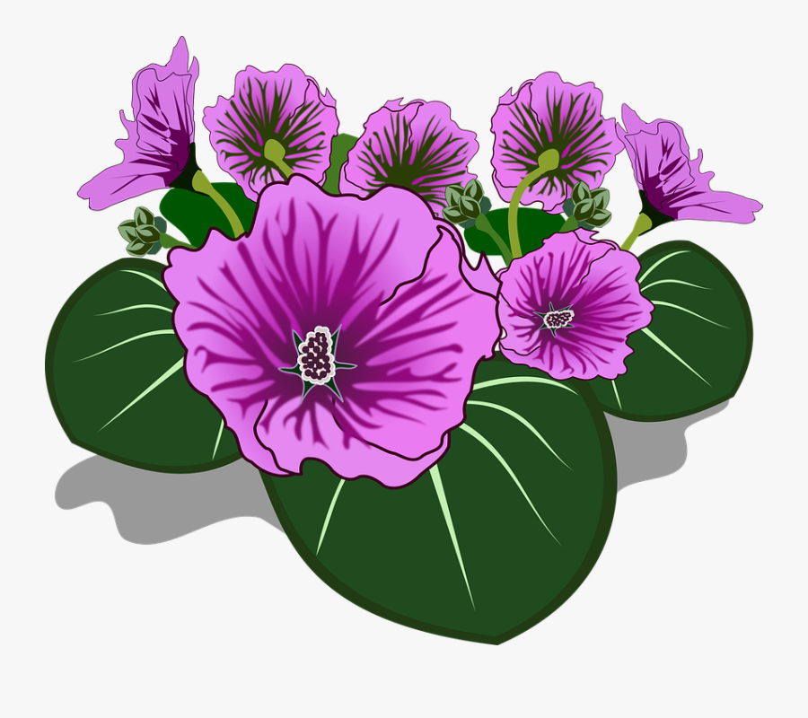 Dibujos De Color Flores, Transparent Clipart