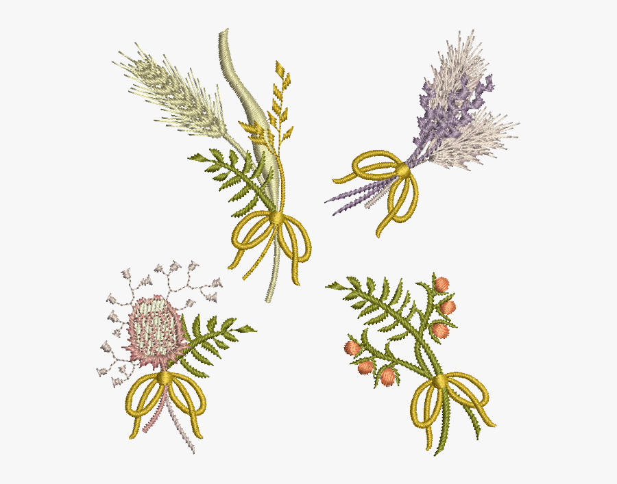 Caesalpinia, Transparent Clipart