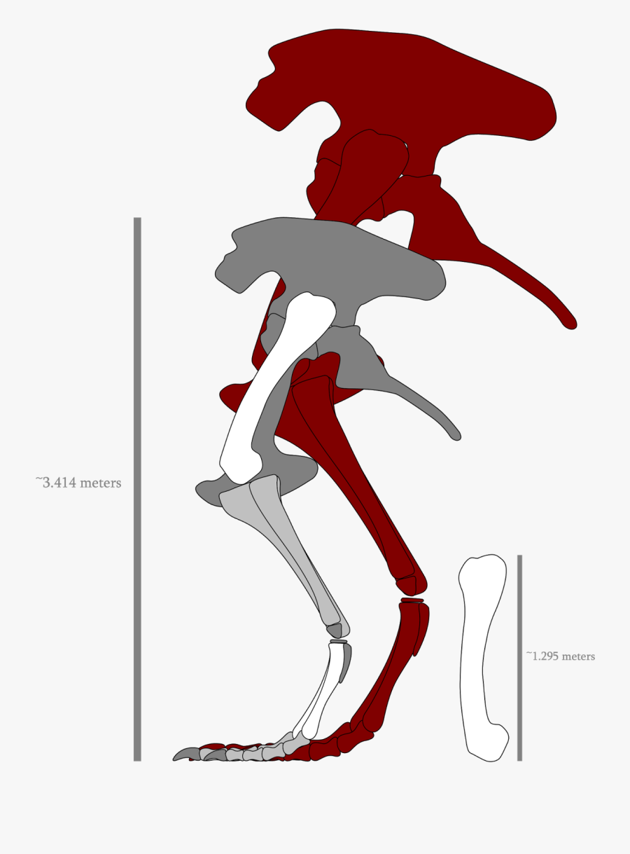 Illustration, Transparent Clipart