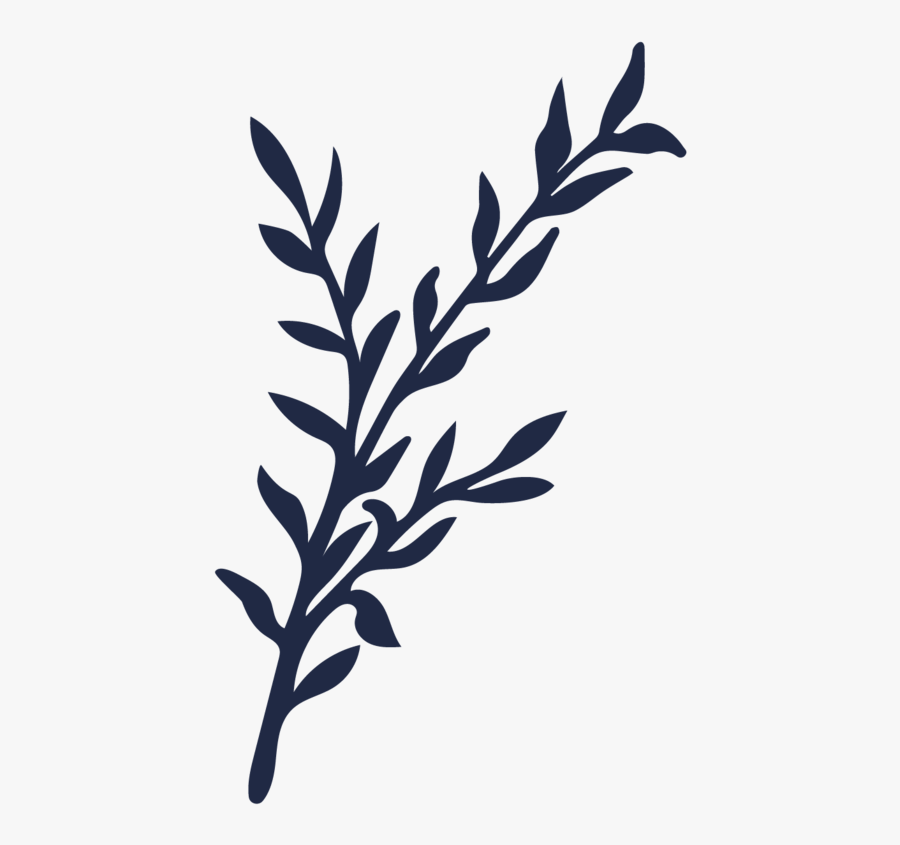 Botanical Elements-06 - Twig, Transparent Clipart