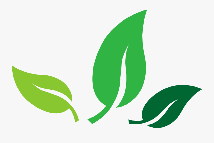 Thyme For Natural Medicine Clipart , Png Download - Catholic Social Teachings Png, Transparent Clipart