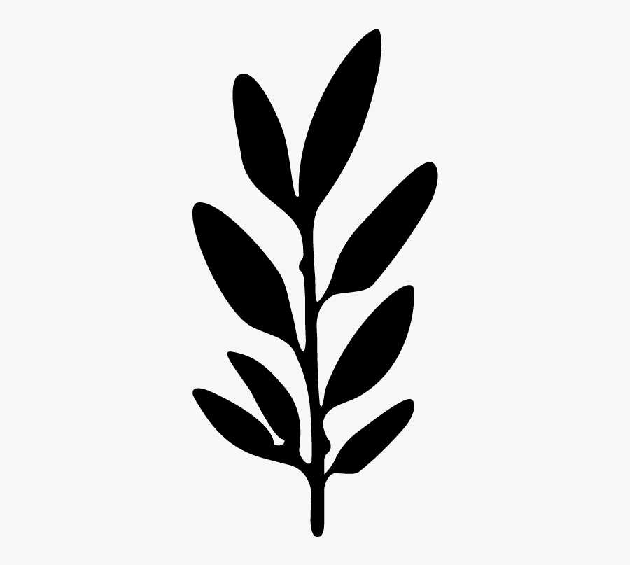 Break Thyme Leaf - Silhouette, Transparent Clipart