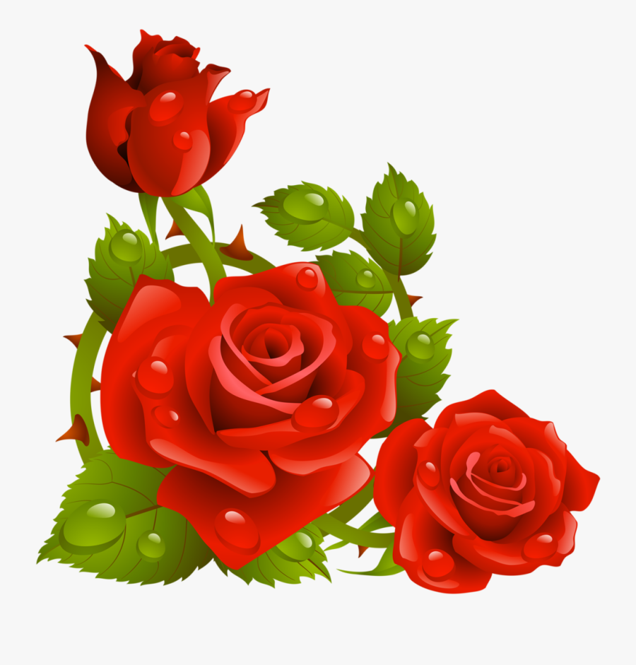 Фото, Автор K - Rose Flower Corner Border, Transparent Clipart