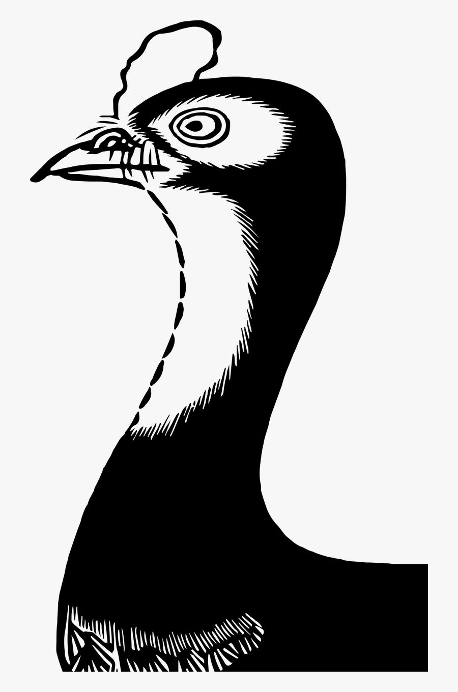 Vintage Japanese Art Free Photo - Japanese Art, Transparent Clipart