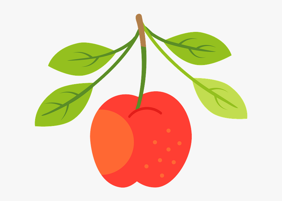 Clip Art, Transparent Clipart