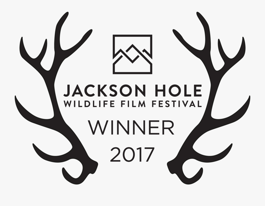 Jackson Hole Wildlife Film Festival Logo, Transparent Clipart