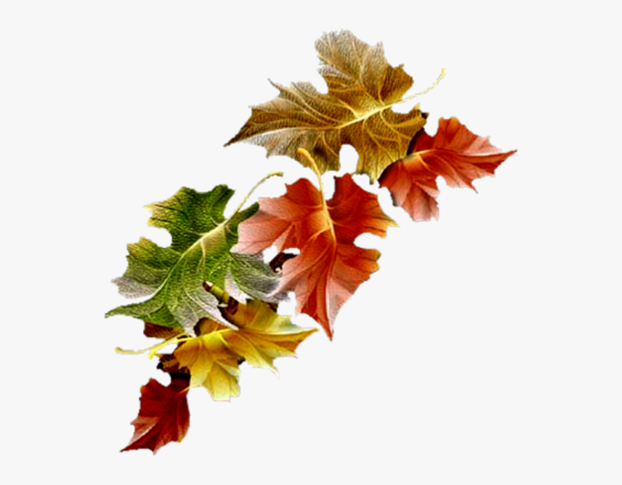 Free Animated Autumn Leaves Gifs Clipart , Png Download - Fallen Leaves Transparent Gif, Transparent Clipart